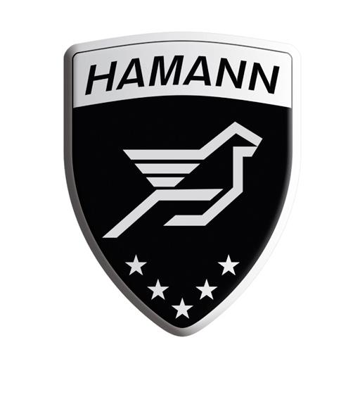 hamann-logo